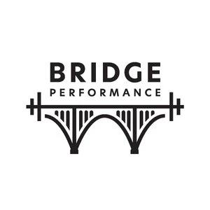 Bridge Performance